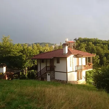 فيلة Вила Козник *