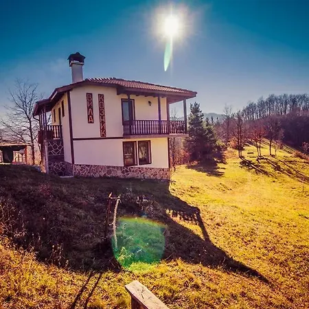 Вила Козник فيلة
