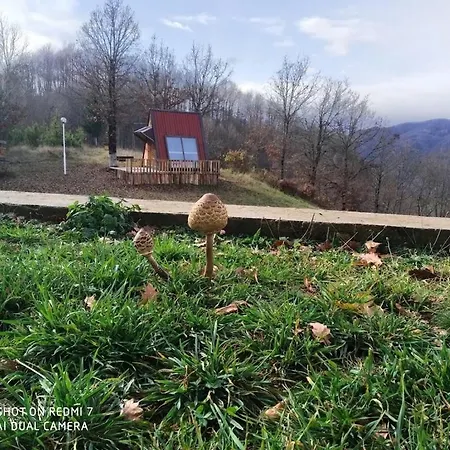 Вила Козник فيلة